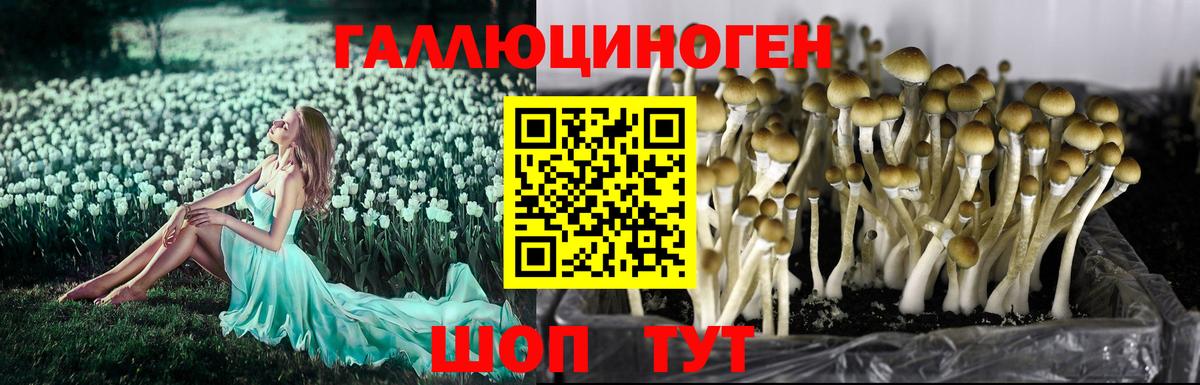 Псилоцибиновые грибы прущие грибы  что такое наркотик  Кохма  Вход с VPN 